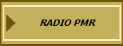 RADIO PMR