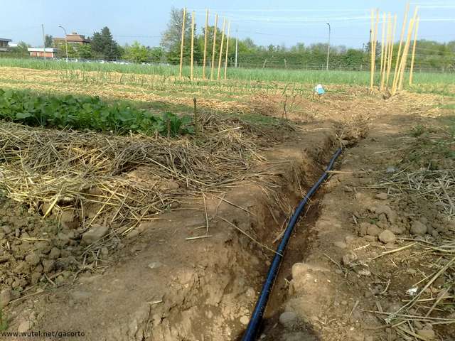 28 APR 2010 - posa tubi imp. irrigazione.jpg