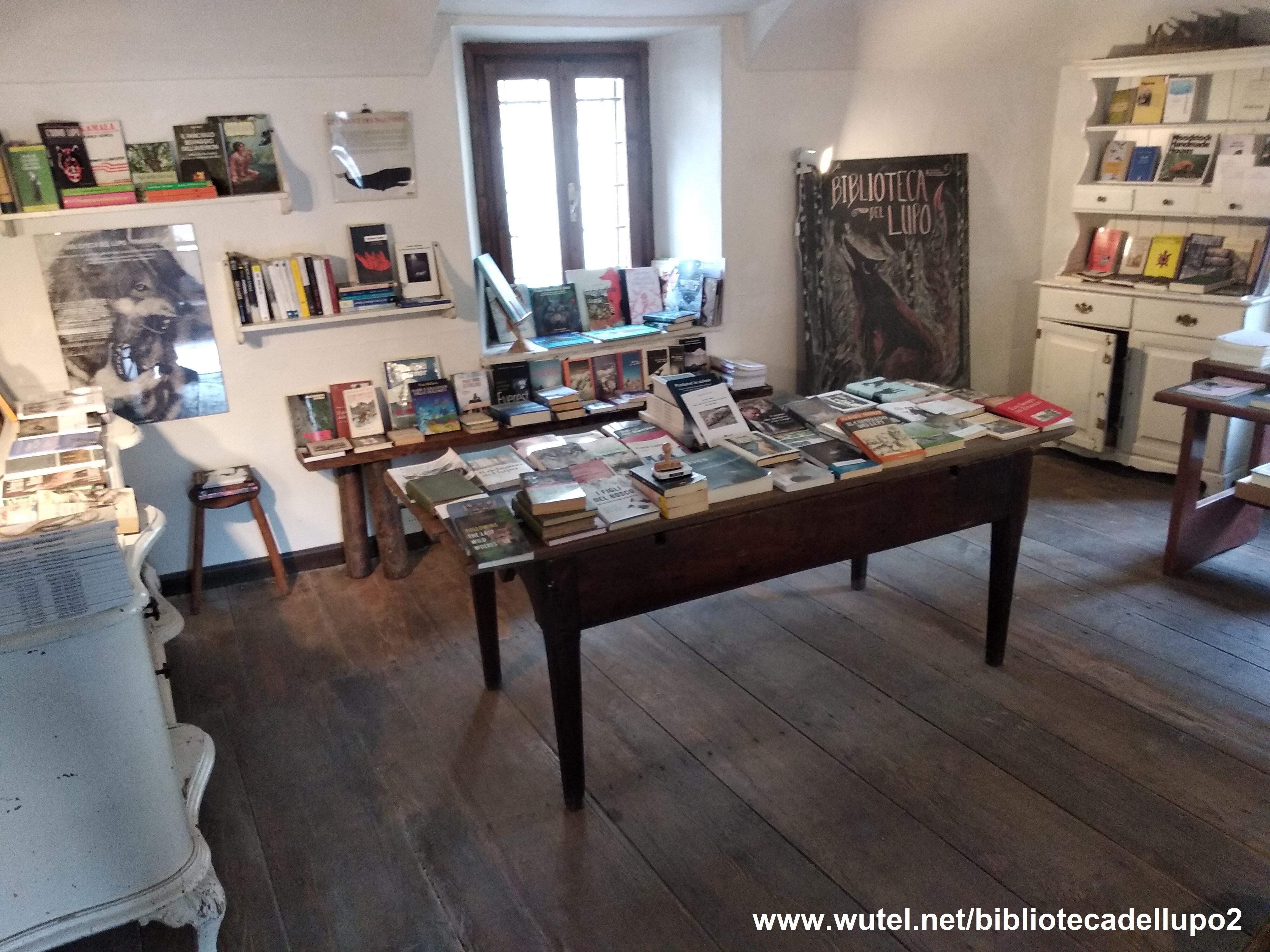 vista di insieme della biblioteca
