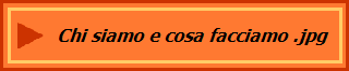 Chi siamo e cosa facciamo .jpg