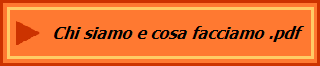 Chi siamo e cosa facciamo .pdf
