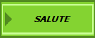 SALUTE