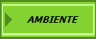 AMBIENTE