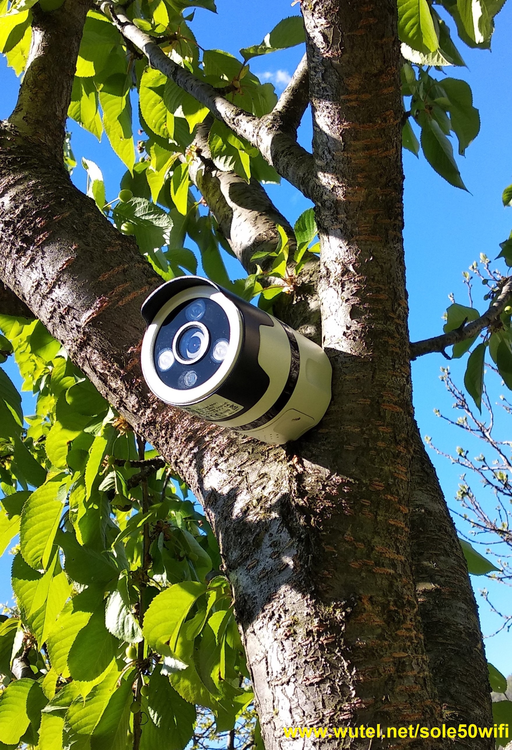 telecamera wifi a energia solare