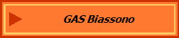 GAS Biassono