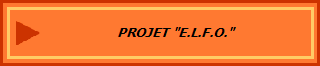 PROJET "E.L.F.O."