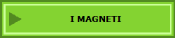 I MAGNETI
