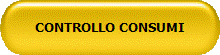 CONTROLLO CONSUMI