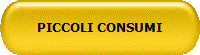 PICCOLI CONSUMI