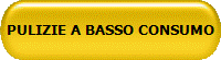 PULIZIE A BASSO CONSUMO