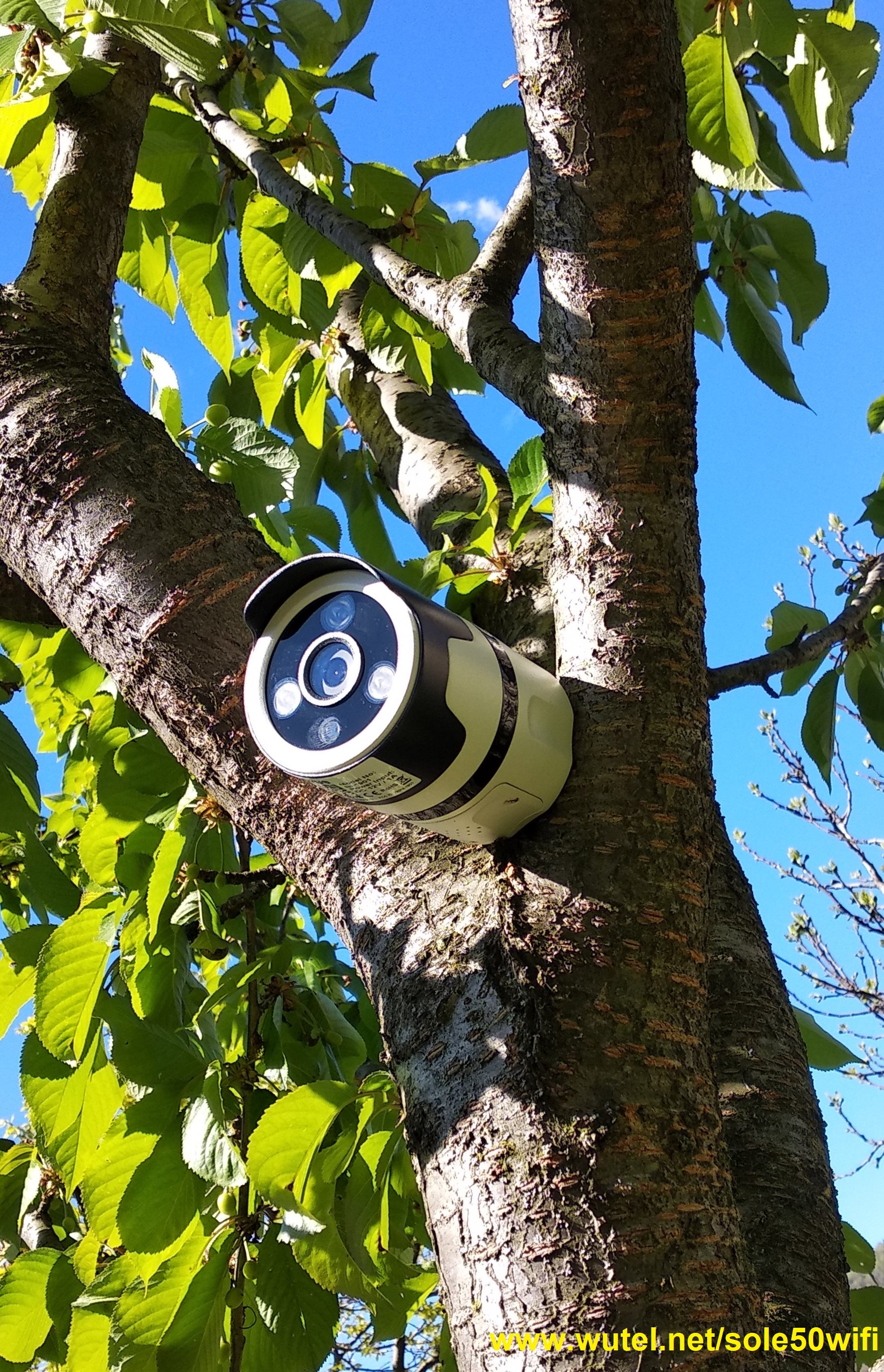 IP CAM da esterno